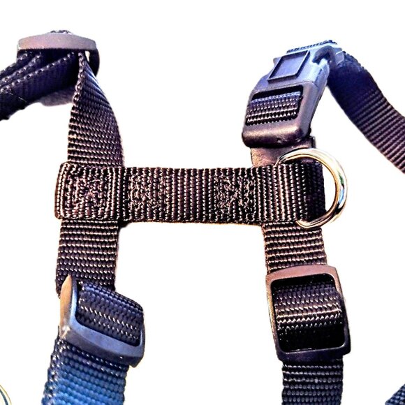 Small DOG Harness ~ No-Pull, H-Type, 5/8" Nylon Web-Strap ~ Adjustable 14"- 20" - Picture 5 of 11